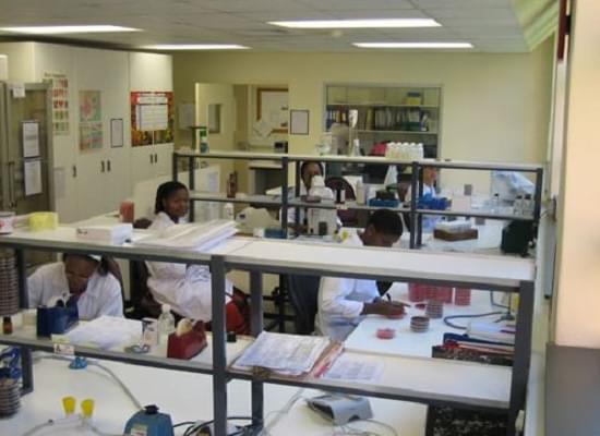 National Institute of Communicable Diseases New Delhi Campus photo 6