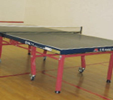 Gitarattan Institute of Advanced Studies and Training New Delhi Sports photo 1