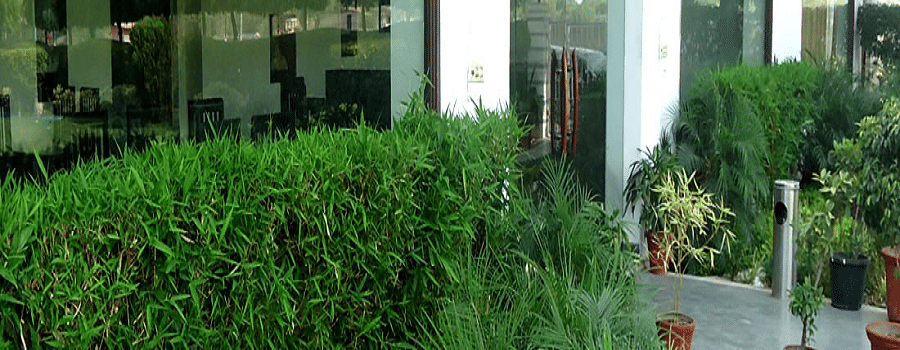 School of Aviation Science and Technology Delhi Flying Club New Delhi Infrastructure photo 1