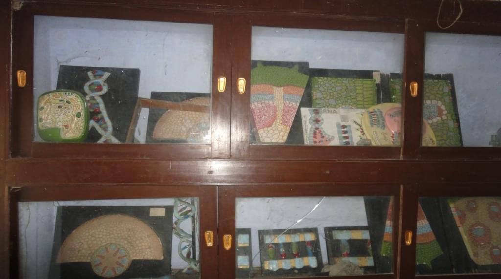 S.N.S. College Gaya Facilities photo 2