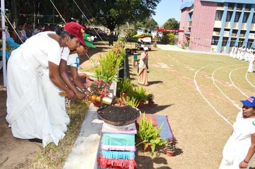 Ursuline Women's Teachers' Training College Lohardaga Activities photo 2