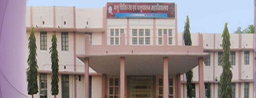 Chhattisgarh Kamdhenu Vishwavidyalaya Raipur Campus photo 1