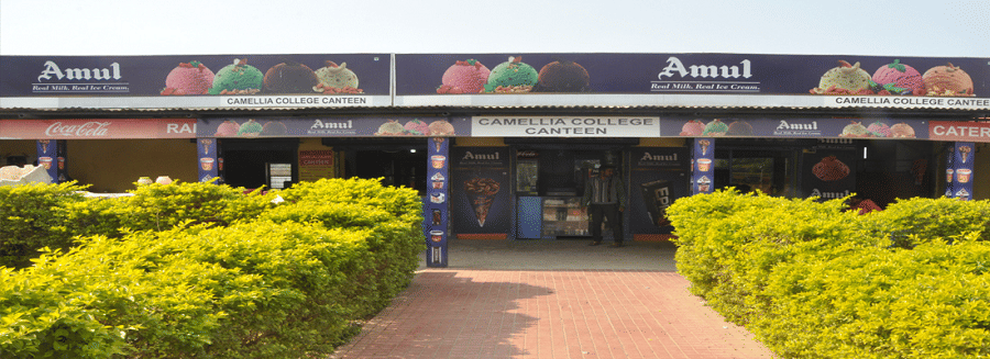 Camellia Institute of Engineering and Technology Bardhaman Building  & Infrastructure photo 6