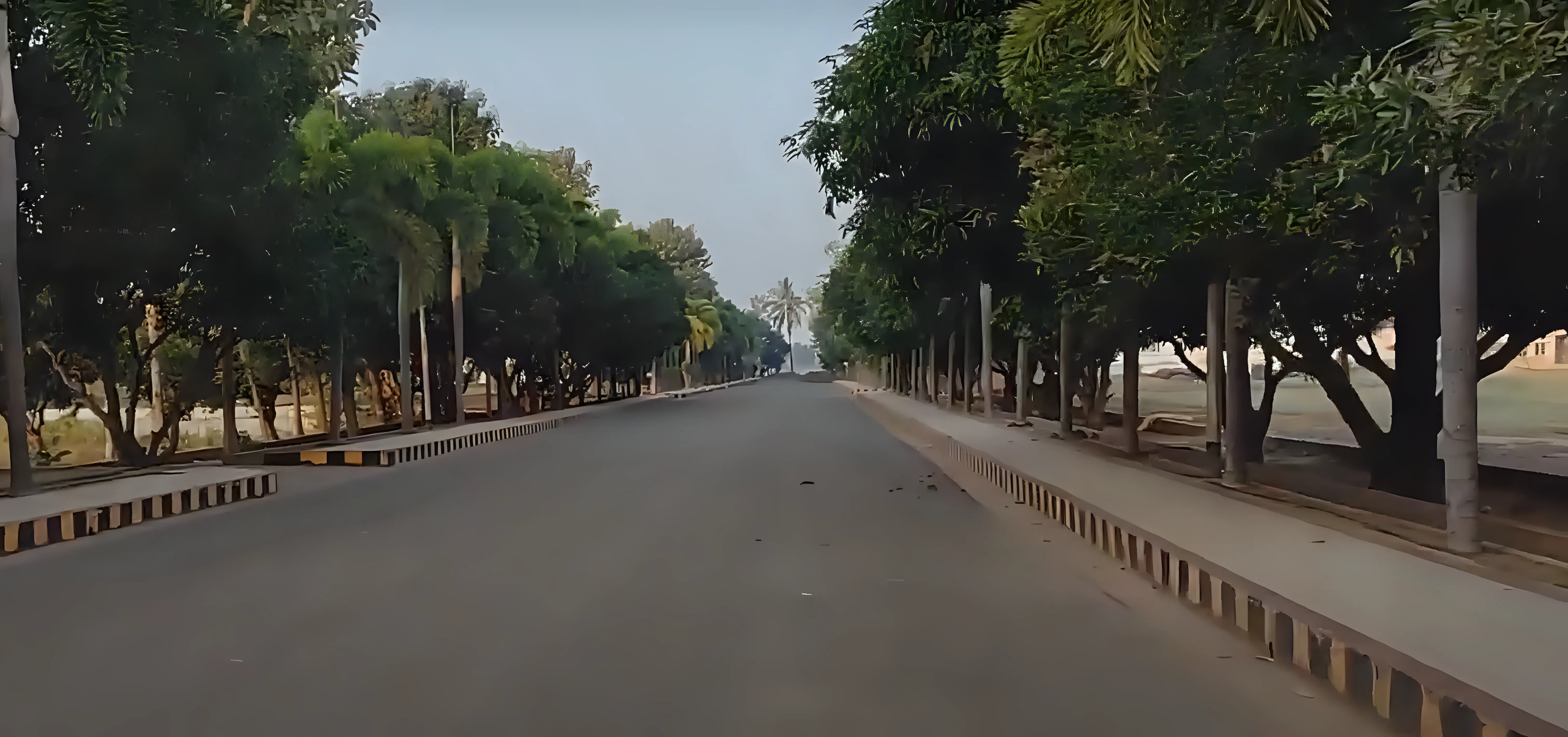 SASI Campus photo 28