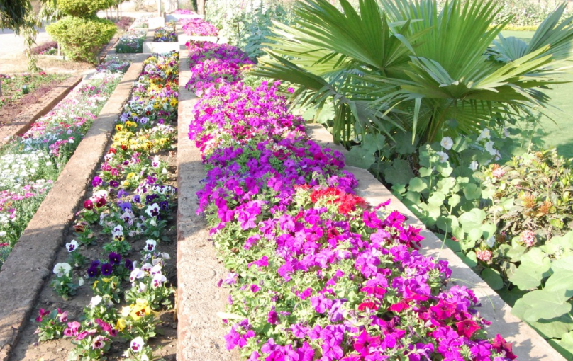 Chattisgarh Institute of Technology Rajnandgaon Campus photo 2