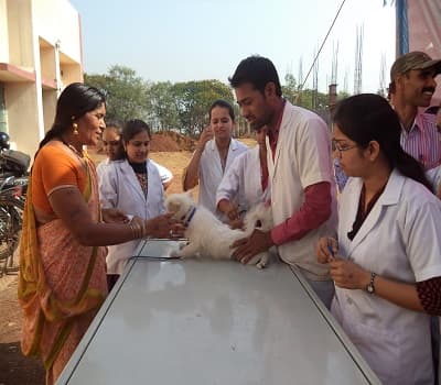 College of Veterinary Science & Animal Husbandry Anjora Durg Facility photo 1