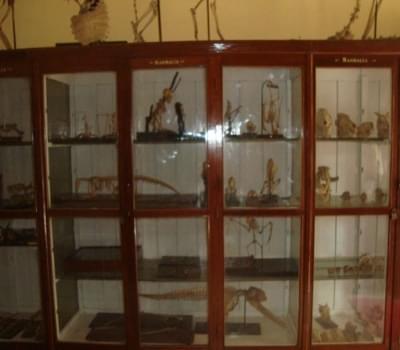 GNSCR Laboratory photo 11