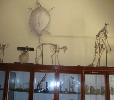 GNSCR Laboratory photo 12