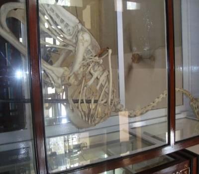 GNSCR Laboratory photo 13