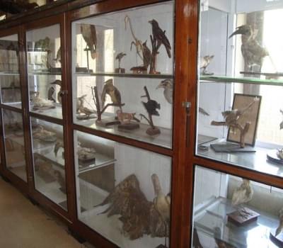 GNSCR Laboratory photo 14