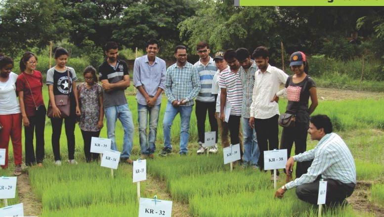 Shepherd Institute of Engineering and Technology Allahabad Events photo 6