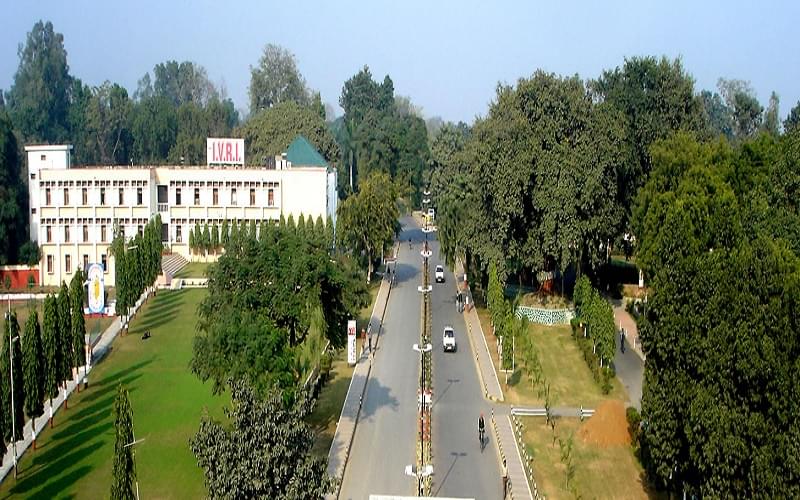 IVRI Campus photo 5