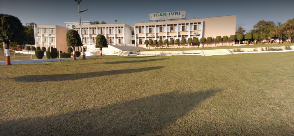 IVRI Campus photo 3