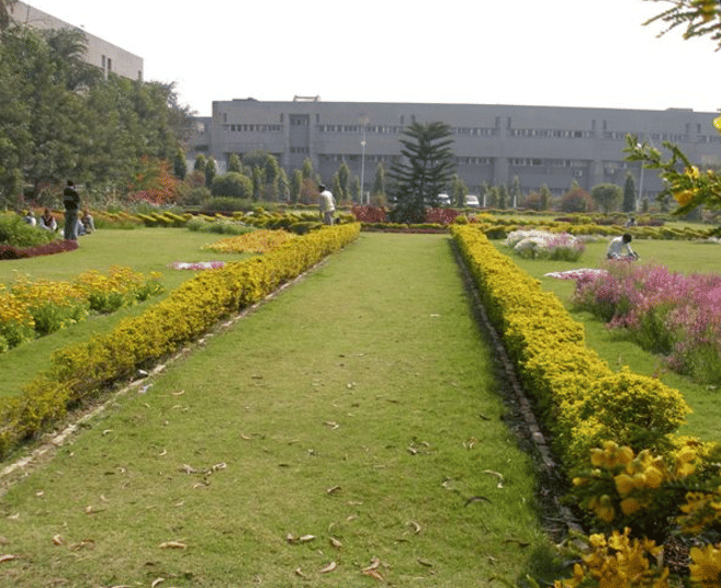 NDUAT NDUAT - Forest Department photo 6