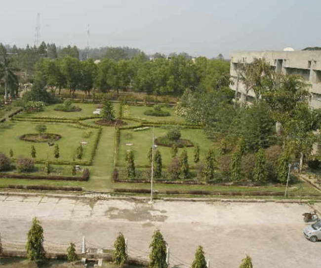 NDUAT NDUAT - Forest Department photo 4