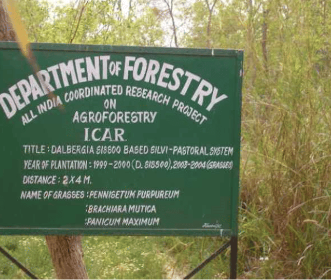 NDUAT NDUAT - Forest Department photo 3