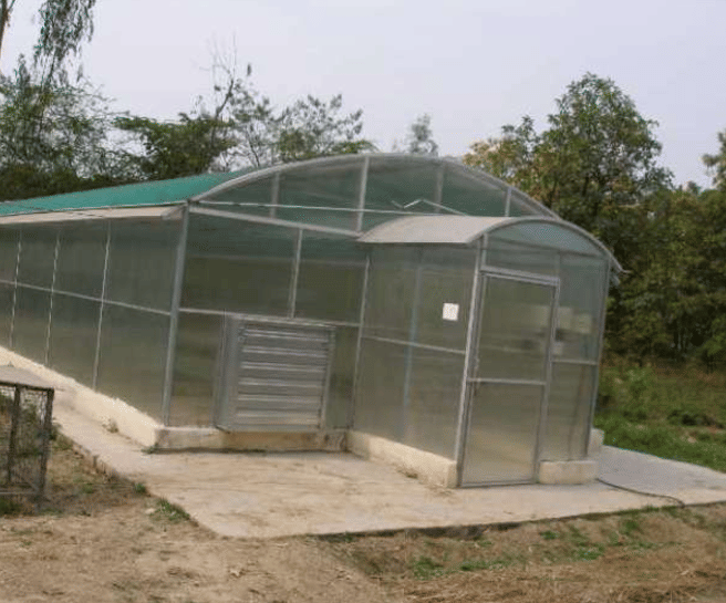 NDUAT NDUAT - Forest Department photo 2