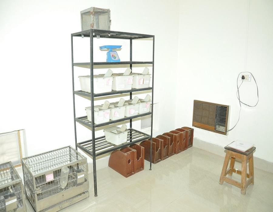 Maharashtra College of Pharmacy Nilanga Facilities photo 14