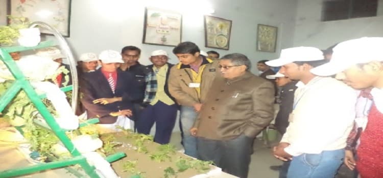 Heeralal Ramniwas Post Graduate College Sant Kabir Nagar Events & Activities photo 8