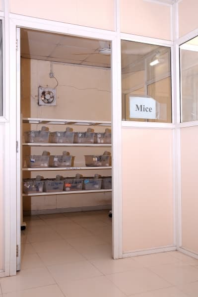 Indira College of Pharmacy Pune Animal House photo 1