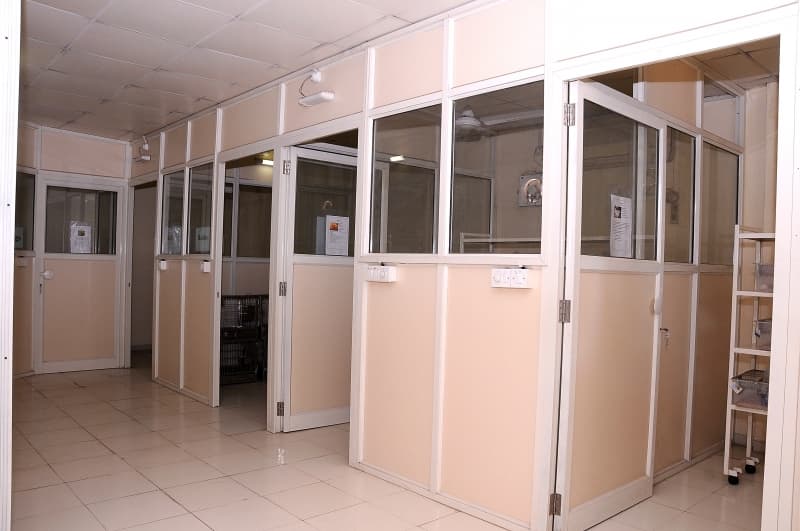 Indira College of Pharmacy Pune Animal House photo 2