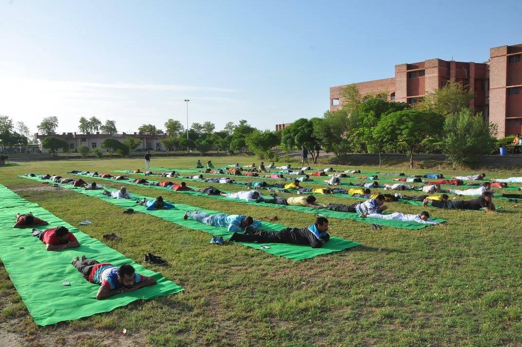 Tantia University Sriganganagar International Yoga Day photo 3