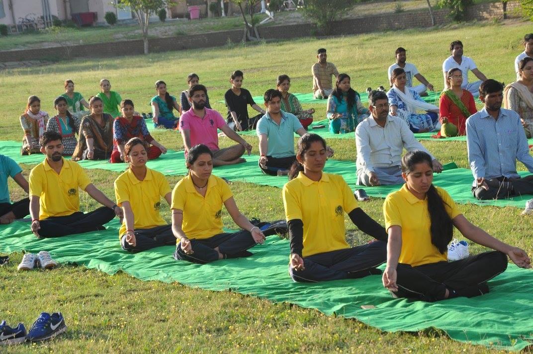 Tantia University Sriganganagar International Yoga Day photo 4