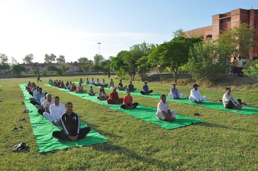 Tantia University Sriganganagar International Yoga Day photo 14