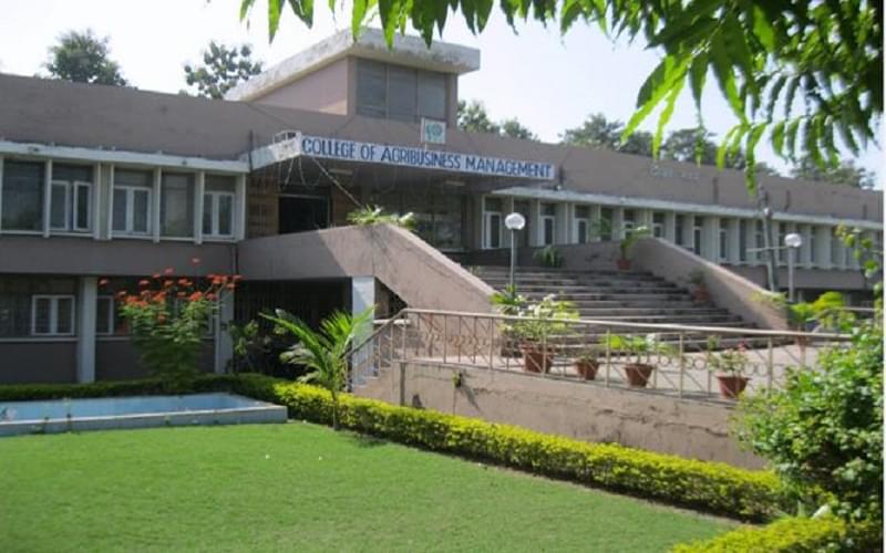 College of Agribusiness Management Udham Singh Nagar Academic Building photo 2