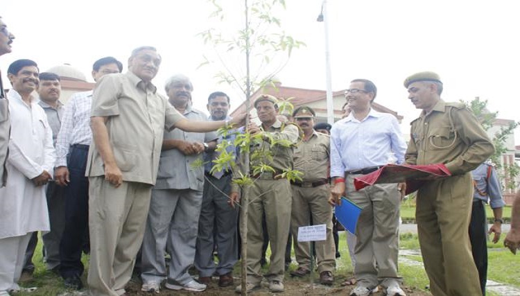 Doon University, School of Management Dehradun Events & Activities photo 4