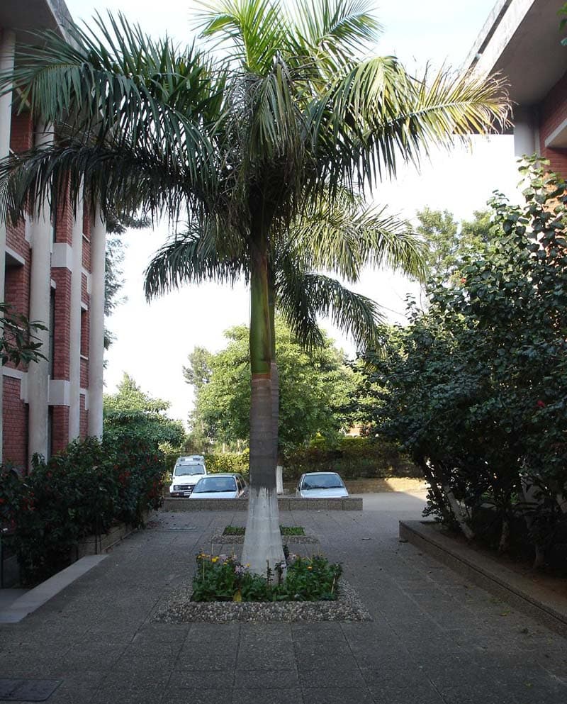 Acharya Shri Chander College of Medical Sciences Jammu Infrastructure photo 2