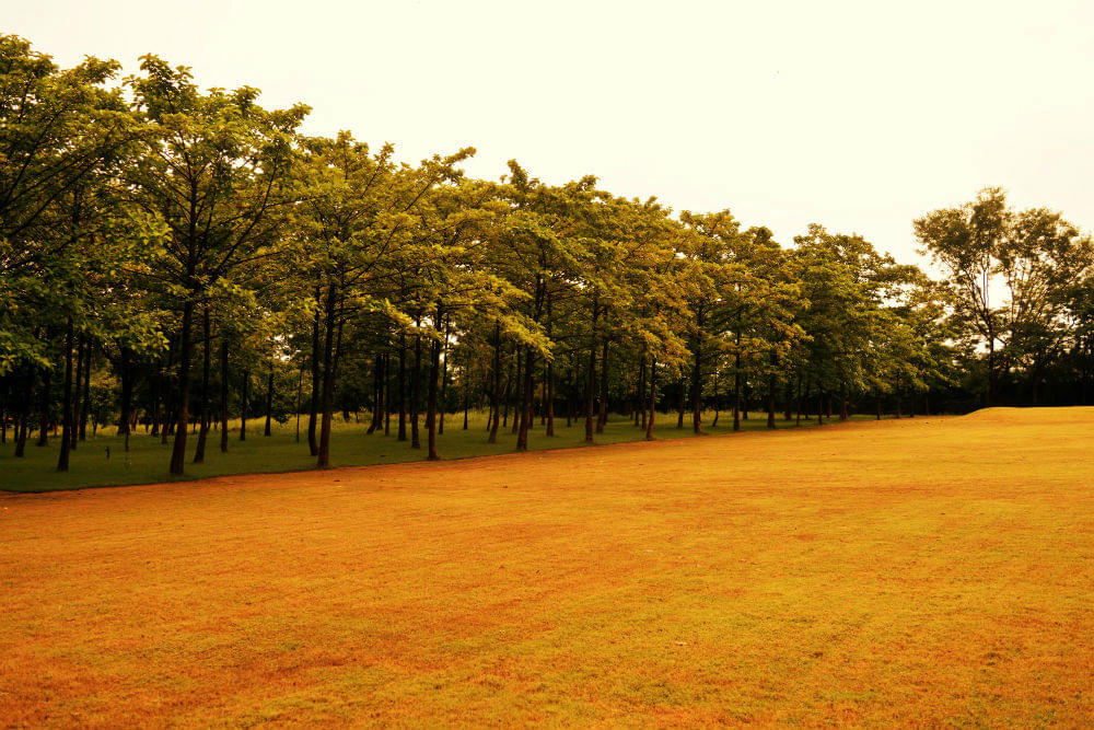 IMT Nagpur Campus photo 3