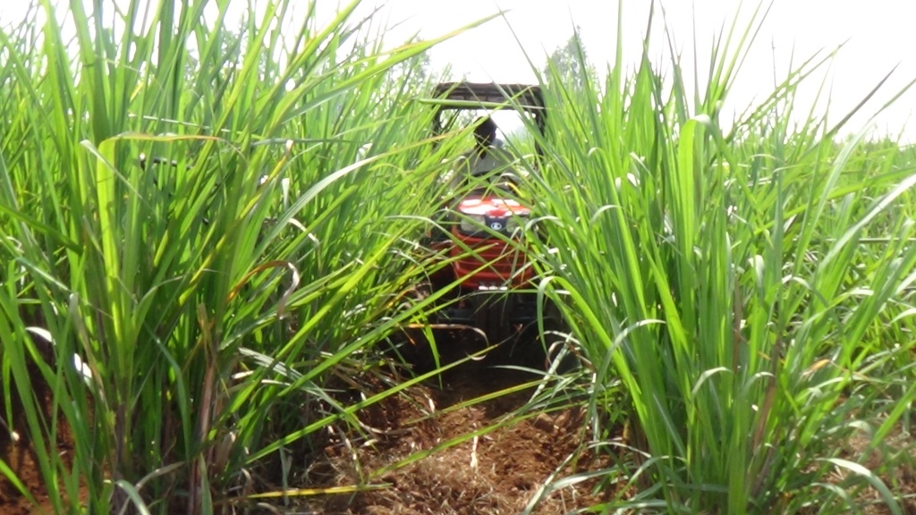 Dr. D. Y. Patil College of Agricultural Engineering & Technology Talsande Kolhapur College Achievement Photos photo 4