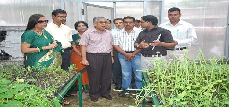 Jamshedpur Women's University Events & Activities photo 4