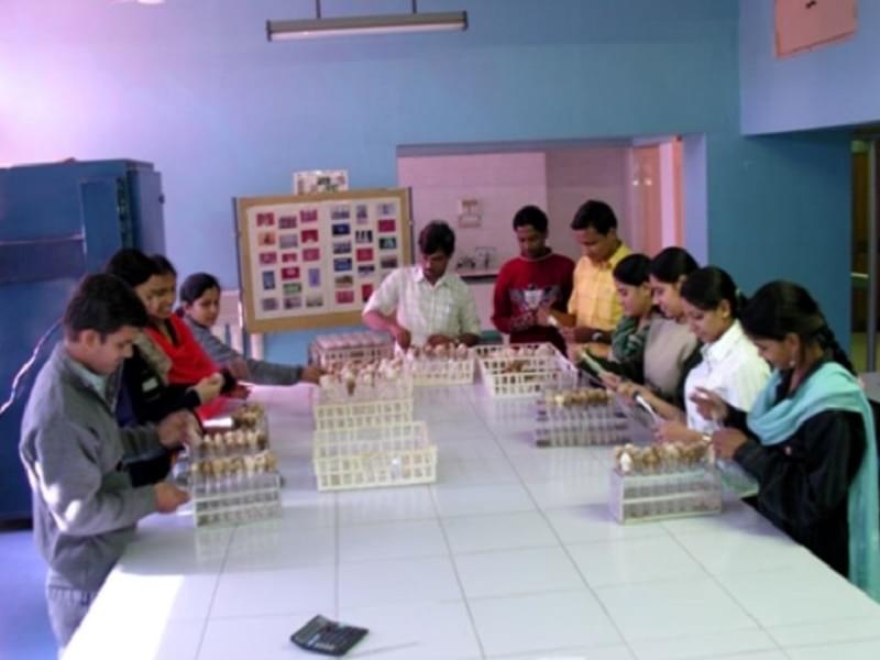 Department of Management Studies Jai Narain Vyas University Jodhpur Labs photo 1