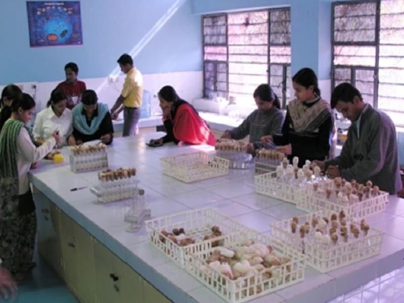 Department of Management Studies Jai Narain Vyas University Jodhpur Labs photo 4