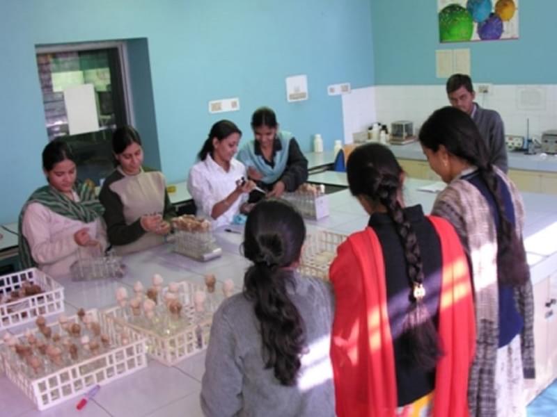 Department of Management Studies Jai Narain Vyas University Jodhpur Labs photo 9