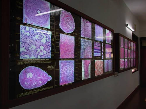 Yenepoya Dental College Mangalore Infrastructure photo 7