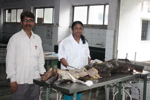 MGM Medical College Navi Mumbai Infrastructure photo 2