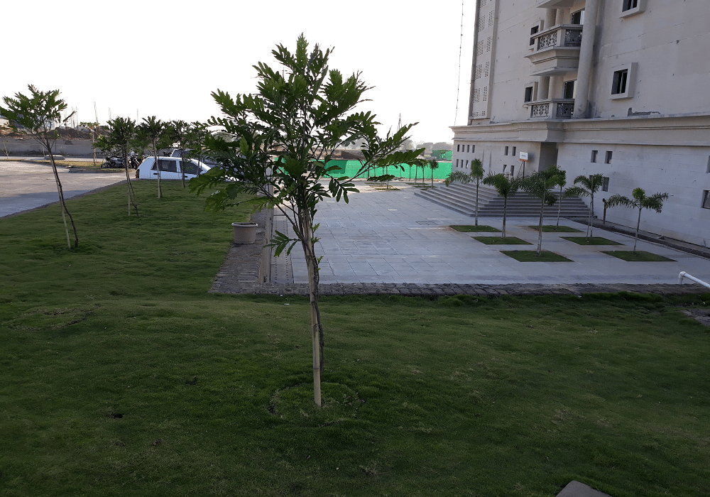 Avantika University Ujjain Campus photo 6