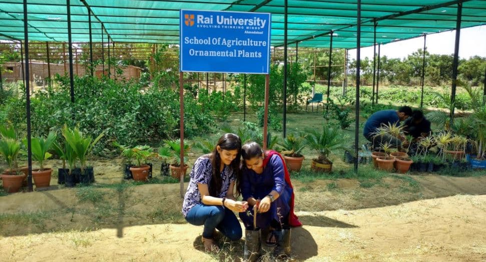 Rai University Ahmedabad Extra Curriular photo 14