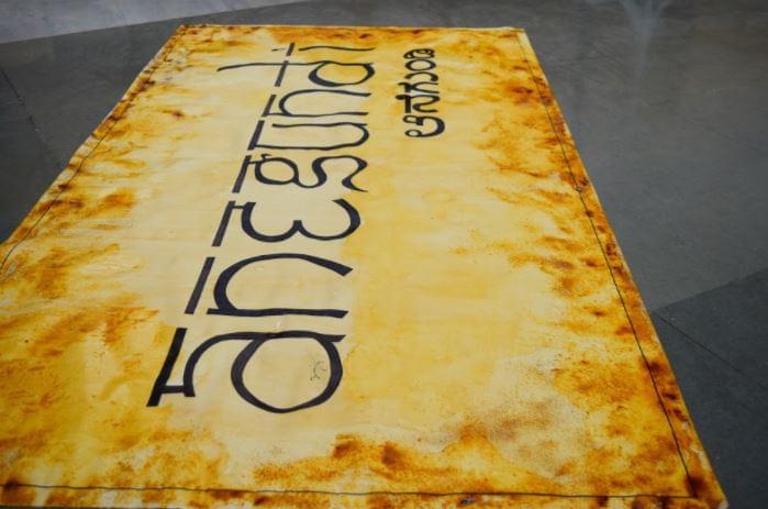 Anant National University Ahmedabad Architecture photo 18