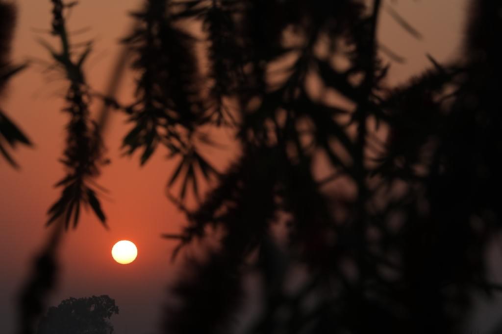 SNU Noida Infrastructure photo 9