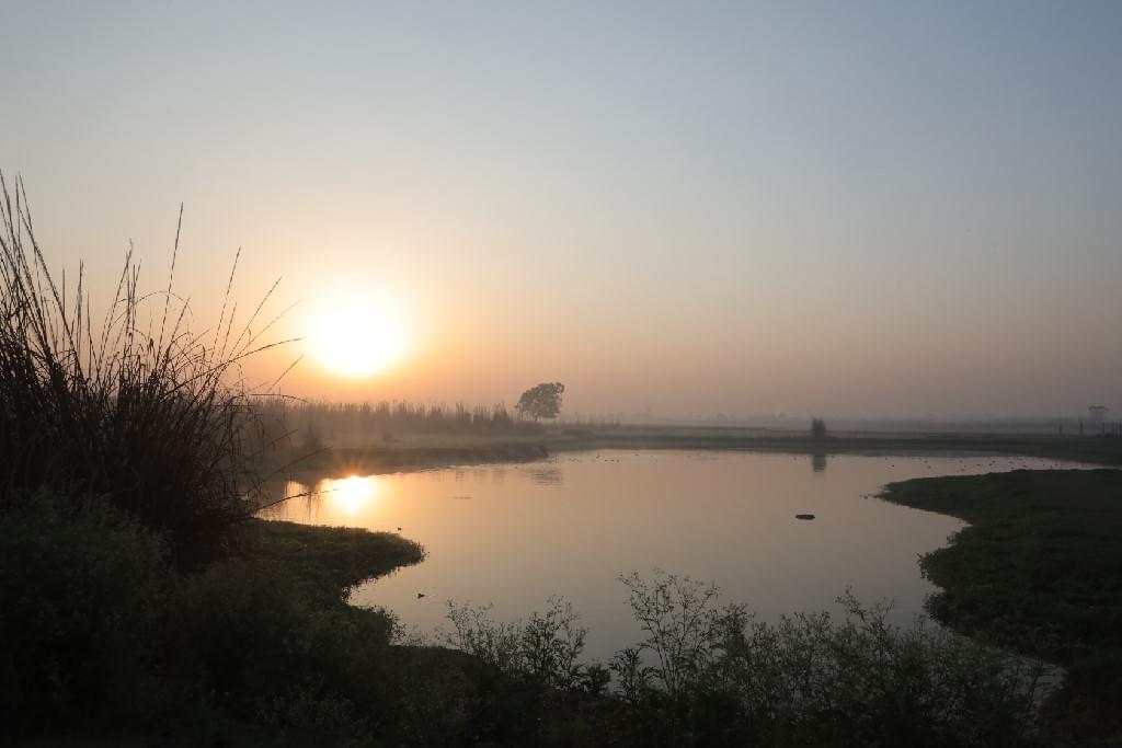 SNU Noida Infrastructure photo 15