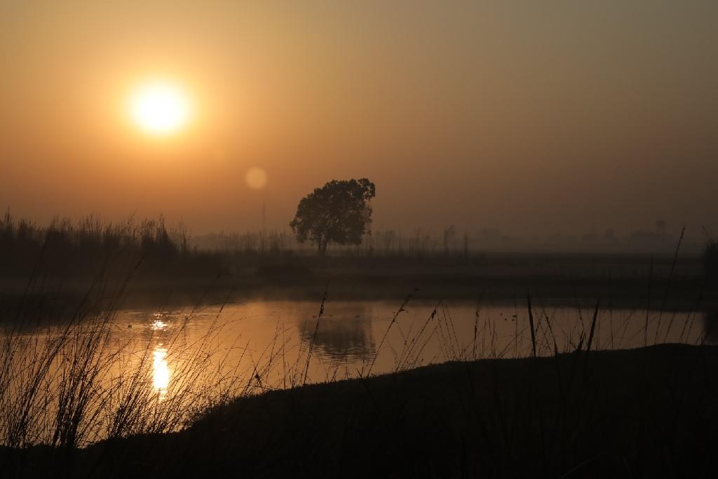 SNU Noida Infrastructure photo 16