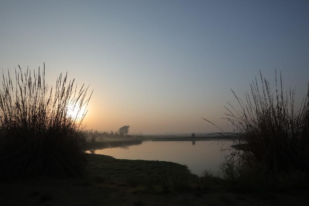 SNU Noida Academic Building photo 3