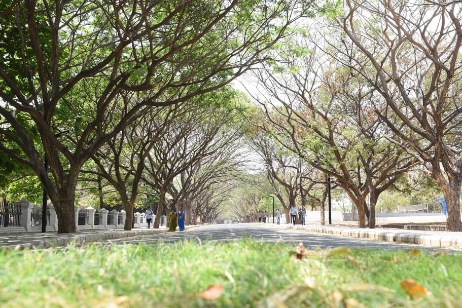 KCLAS Campus View photo 13