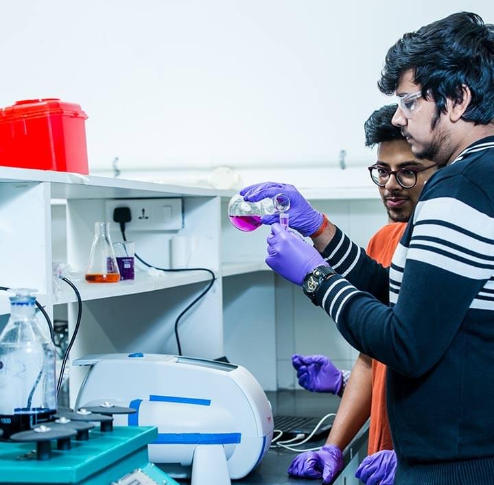 Bennett University Greater Noida Infrastructure photo 4