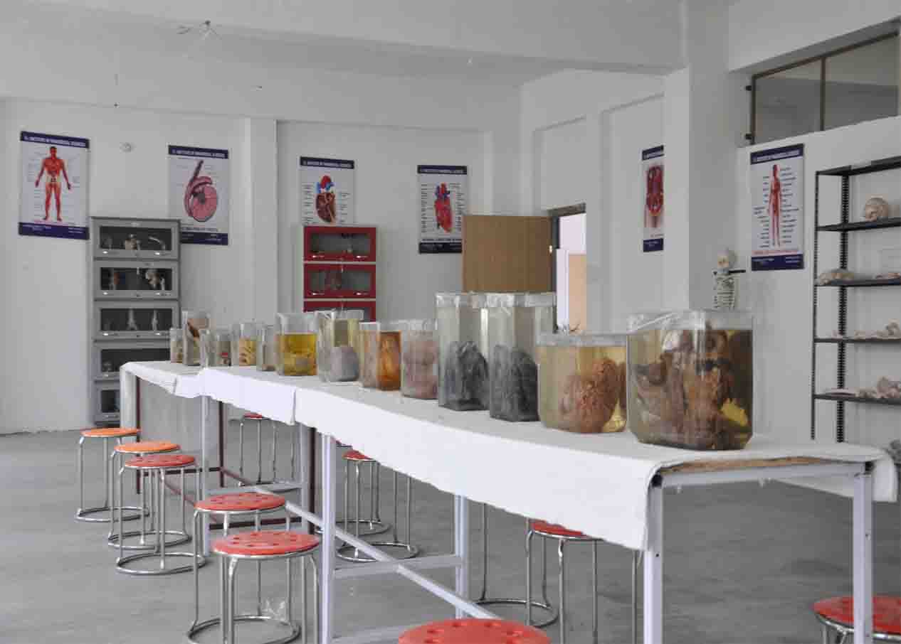 F I Pharmacy College Lucknow College Pictures photo 3