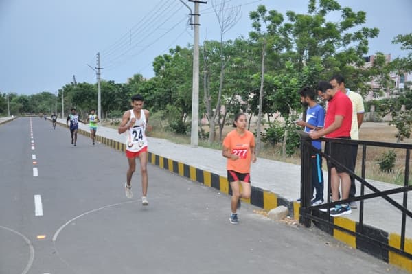 University Centre for Distance Learning, Chaudhary Devi Lal University Sirsa Gallery(CDLU) photo 16
